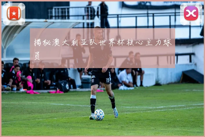 揭秘澳大利亚队世界杯核心主力球员