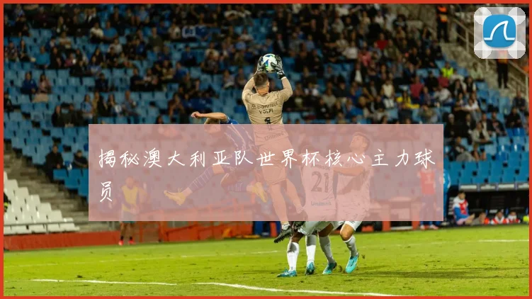 揭秘澳大利亚队世界杯核心主力球员