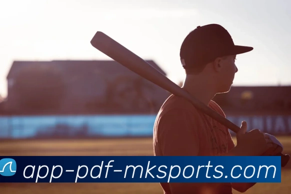 MK体育APP发展历程